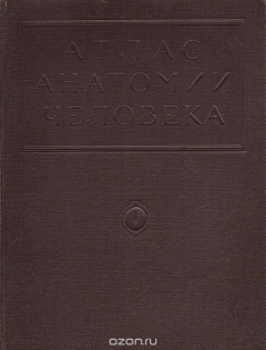 Книга Атлас анатомии человека. Том второй на ReadRate.com книга Атлас анатомии человека. Том второй