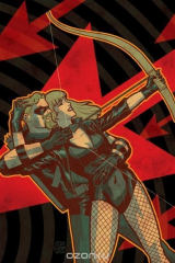 книга Green Arrow/Black Canary VOL 01: The Wedding Album