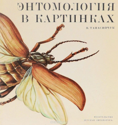 Книга Энтомология в картинках на ReadRate.com книга Энтомология в картинках