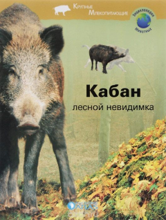 Книга Кабан. Лесной невидимка на ReadRate.com книга Кабан. Лесной невидимка