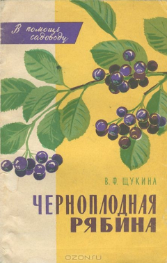 Книга Черноплодная рябина на ReadRate.com книга Черноплодная рябина
