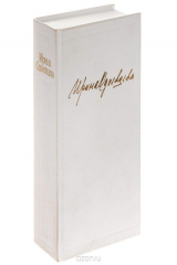 книга Ирина Одоевцева. Избранное. Стихотворения. На берегах Невы. На берегах Сены