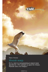 книга Иной мир