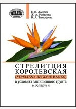 Книга Стрелитция королевская (Strelitzia reginae Banks) в условиях защищенного грунта в Беларуси на ReadRate.com книга Стрелитция королевская (Strelitzia reginae Banks) в условиях защищенного грунта в Беларуси