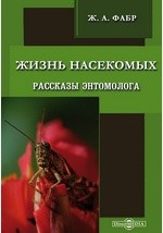 книга Жизнь насекомых. Рассказы энтомолога