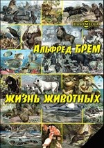 Книга Общий взгляд на жизнь пресмыкающихся или рептилии на ReadRate.com книга Общий взгляд на жизнь пресмыкающихся или рептилии