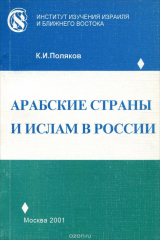 книга Арабские страны и ислам в России. 90-е годы XX века