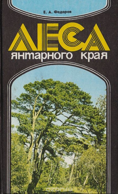 Книга Леса янтарного края на ReadRate.com книга Леса янтарного края