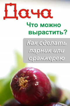 Книга Что можно вырастить? Как сделать парник или оранжерею на ReadRate.com книга Что можно вырастить? Как сделать парник или оранжерею
