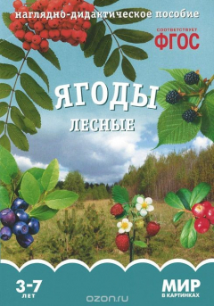 Книга Ягоды лесные. Наглядно-дидактическое пособие. 3-7 лет на ReadRate.com книга Ягоды лесные. Наглядно-дидактическое пособие. 3-7 лет