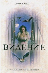книга Видение