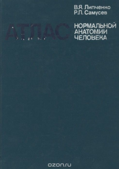 Книга Атлас нормальной анатомии человека на ReadRate.com книга Атлас нормальной анатомии человека