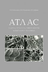книга Атлас ультраструктуры микробиоты кишечника человека
