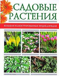 Книга Садовые растения. Большая иллюстрированная энциклопедия на ReadRate.com книга Садовые растения. Большая иллюстрированная энциклопедия