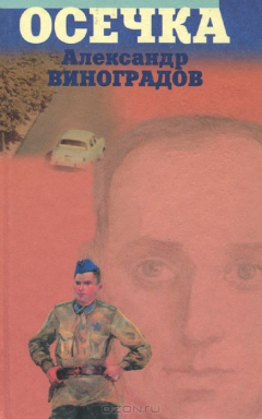 Книга Осечка на ReadRate.com книга Осечка