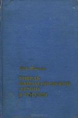 книга Гибель наполеоновской армии в России