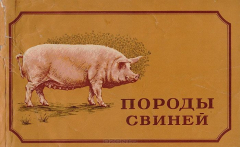 Книга Породы свиней на ReadRate.com книга Породы свиней