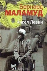 книга Ангел Левин