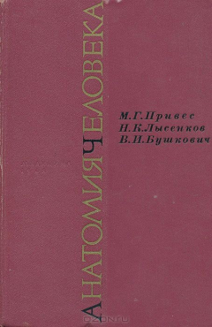 Книга Анатомия человека на ReadRate.com книга Анатомия человека