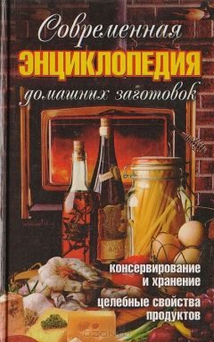 книга Современная энциклопедия домашних заготовок