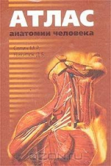книга Атлас анатомии человека