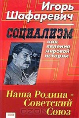 книга Социализм как явление мировой истории