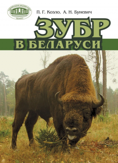 Книга Зубр в Беларуси на ReadRate.com книга Зубр в Беларуси