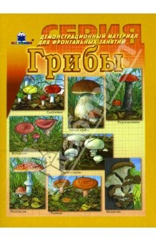 Книга Грибы. Демонстрационный материал для фронтальных занятий на ReadRate.com книга Грибы. Демонстрационный материал для фронтальных занятий