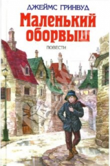 книга Маленький оборвыш. Повести