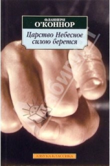 книга Царство Небесное силою берется: Роман