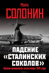 книга Падение "сталинских соколов". Полная хронология катастрофы 1941 года