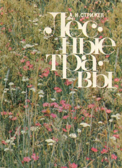 Книга Лесные травы на ReadRate.com книга Лесные травы