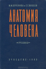 книга Анатомия человека