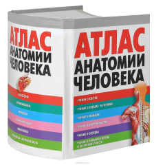 Книга Атлас анатомии человека на ReadRate.com книга Атлас анатомии человека