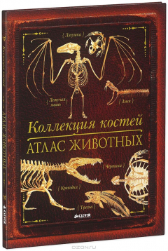 книга Коллекция костей. Атлас животных