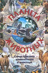 книга Планета животных. Самая красивая энциклопедия о животных