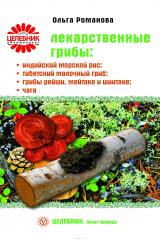 книга Лекарственные грибы: индийский, тибетский, шиитаке, чага и др.