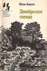 книга Декабрьское солнце