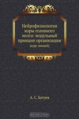 книга Нейрофизиология коры головного мозга: модульный принцип организации