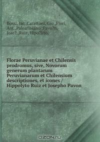 Книга Florae Peruvianae et Chilensis prodromus, sive, Novorum generum plantarum Peruvianarum et Chilensium descriptiones, et icones /Hippolyto Ruiz et Josepho Pavon. на ReadRate.com книга Florae Peruvianae et Chilensis prodromus, sive, Novorum generum plantarum Peruvianarum et Chilensium descriptiones, et icones /Hippolyto Ruiz et Josepho Pavon.