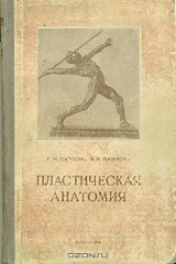 книга Пластическая анатомия