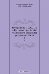 книга Silva gadelica (I-XXXI) : a collection of tales in Irish with extracts illustrating persons and places