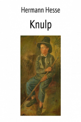 книга Knulp