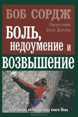 книга Боль, недоумение и возвышение. Пророческая интерпретация книги Иова