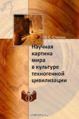 книга Научная картина мира в культуре техногенной цивилизации