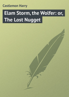 Книга Elam Storm, the Wolfer: or, The Lost Nugget на ReadRate.com книга Elam Storm, the Wolfer: or, The Lost Nugget