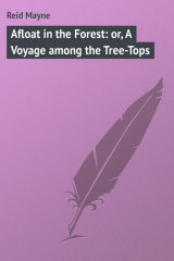 книга Afloat in the Forest: or, A Voyage among the Tree-Tops