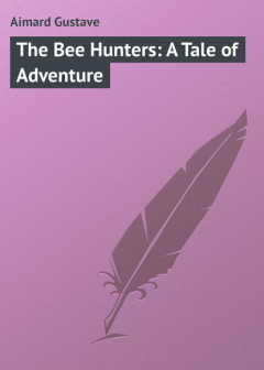 Книга The Bee Hunters: A Tale of Adventure на ReadRate.com книга The Bee Hunters: A Tale of Adventure