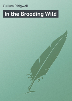 Книга In the Brooding Wild на ReadRate.com книга In the Brooding Wild