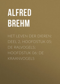 Книга Het Leven der Dieren: Deel 2, Hoofdstuk 05: De Ralvogels; Hoofdstuk 06: De Kraanvogels на ReadRate.com книга Het Leven der Dieren: Deel 2, Hoofdstuk 05: De Ralvogels; Hoofdstuk 06: De Kraanvogels